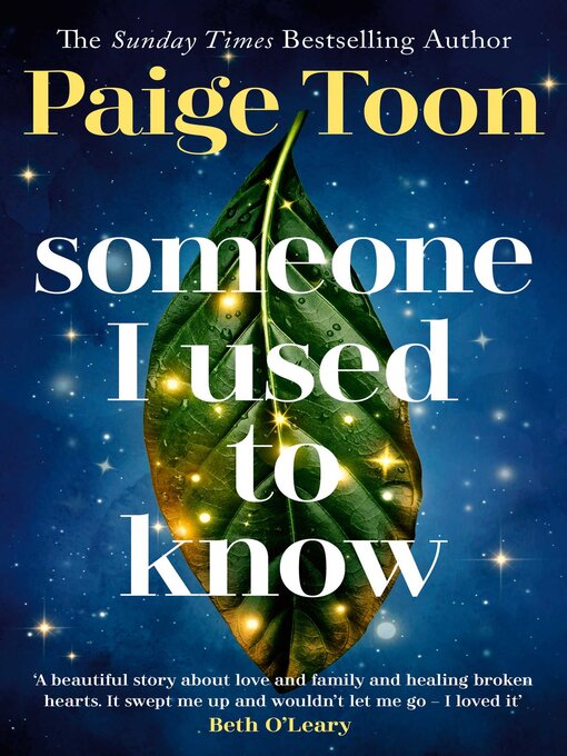 Cover image for Someone I Used to Know